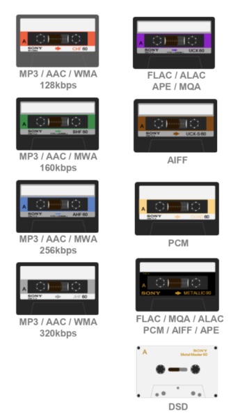 Sony NW-A105